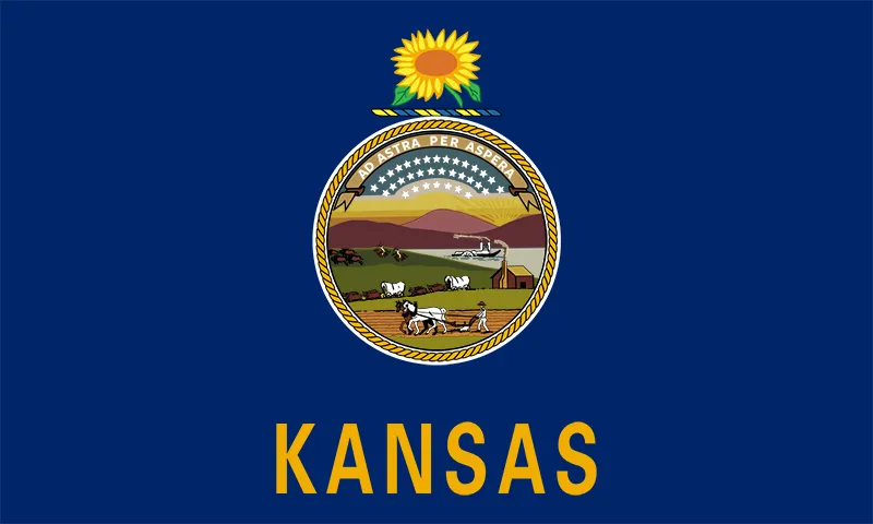 Kansas state flag